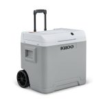 IGLOO IE42 elektrische koelbox 42L – 12V en 230V – Thermo-elektrische koelbox met wielen en telescoopgreep voor auto, camper, camping en vrachtwagen – Koelt tot 20 °C onder de omgevingstemperatuur